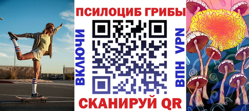 OMG ТОР  Данилов  Псилоцибиновые грибы мицелий 
